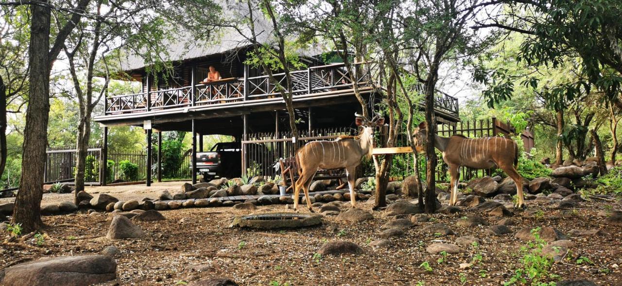 Kruger Kumba - Lahlekile Nathi Lägenhet Marloth Park Exteriör bild