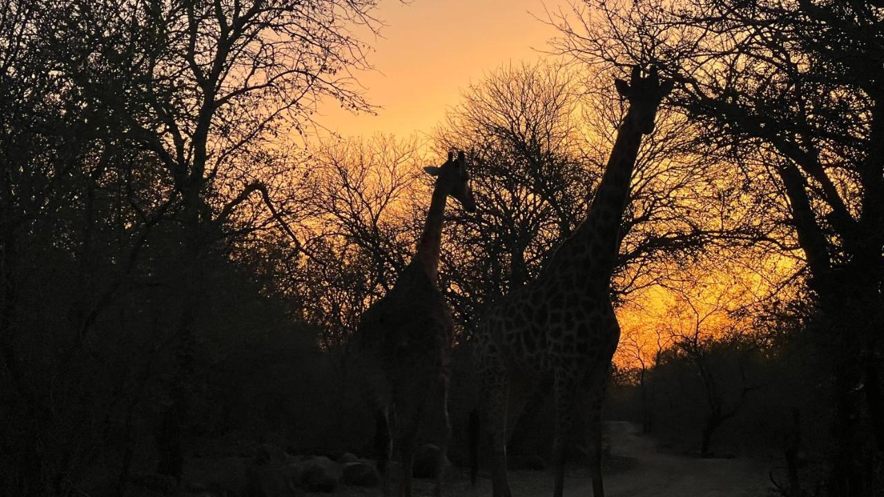 Kruger Kumba - Lahlekile Nathi Lägenhet Marloth Park Exteriör bild