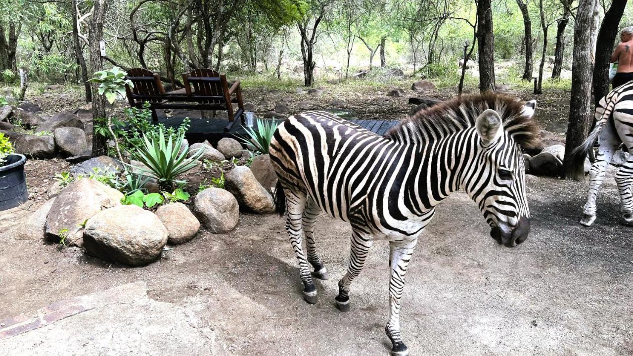 Kruger Kumba - Lahlekile Nathi Lägenhet Marloth Park Exteriör bild