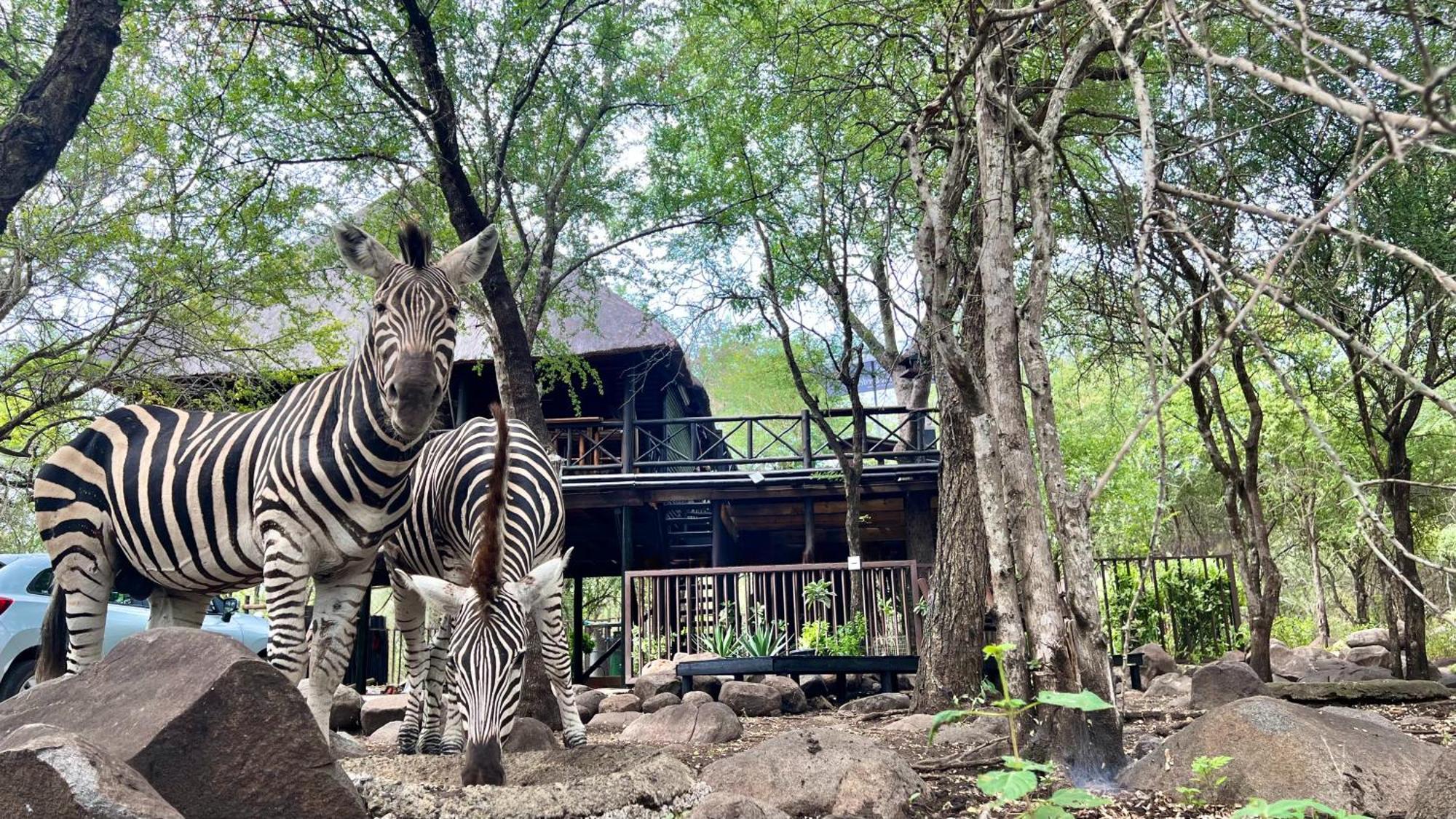 Kruger Kumba - Lahlekile Nathi Lägenhet Marloth Park Exteriör bild